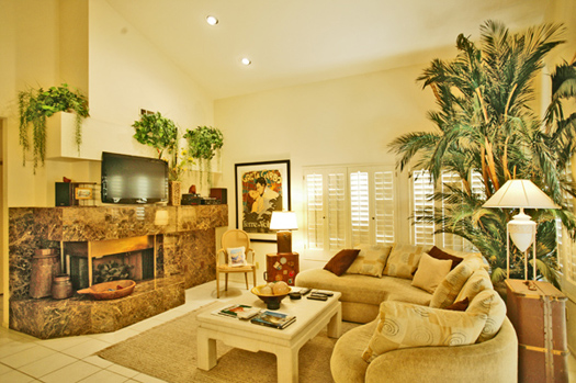 Living room with widescreen high definition TV
